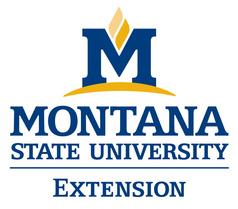 Montana State University